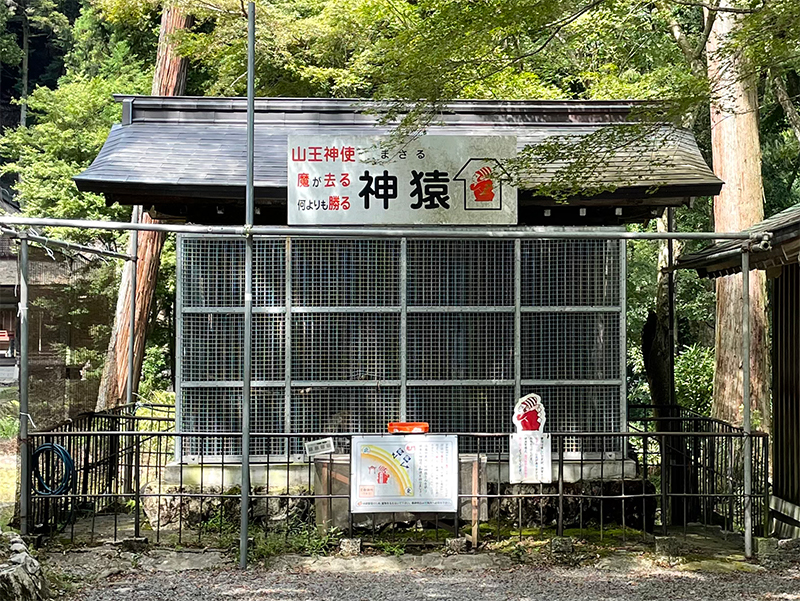 神猿舎（まさるしゃ）の画像